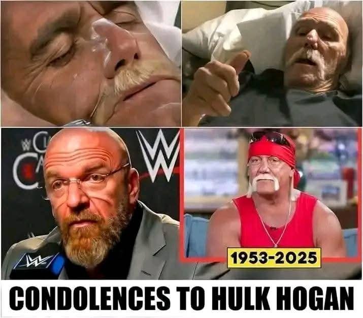 WWE LEGEND” Triple H JUST OFFICIALLY CONFIRMED the current status of legendary wrestler Hulk Hogan