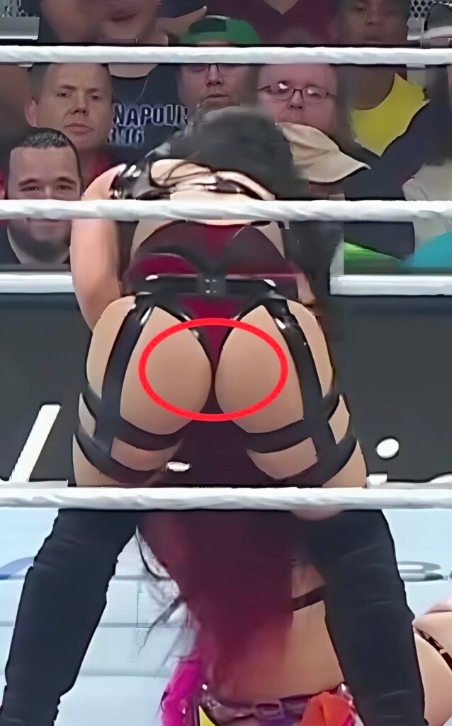 Wrestlepalooza 2025 delivered the ultimate WOW moment 🥵 STEPHANIE VAQUER looked absolutely