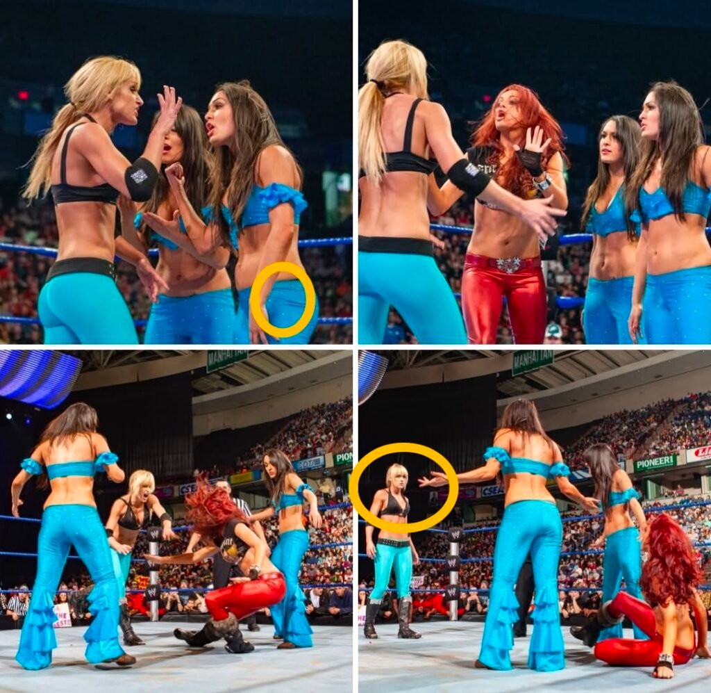 Michelle McCool lost her cool on Maria and The Bella Twins 17 years ago!